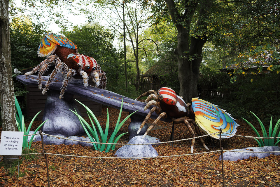 Woodland Park Zoo — photo 44